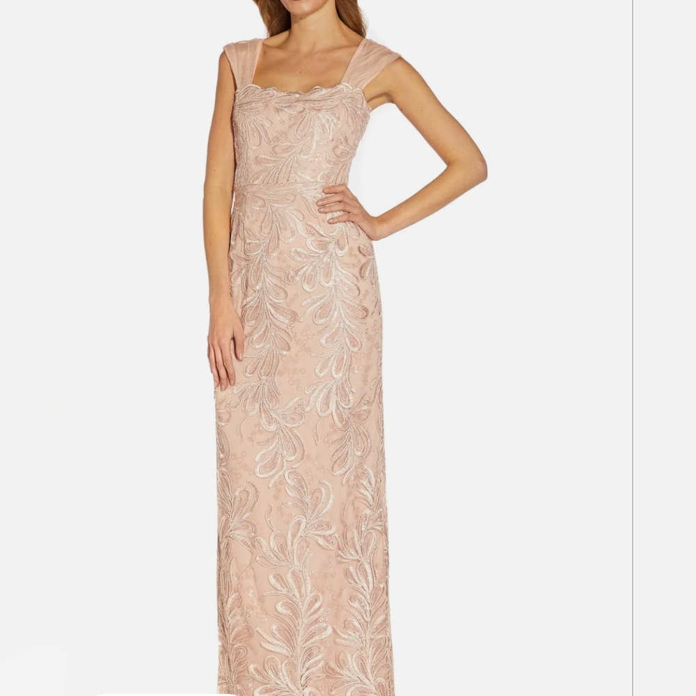 Adrianna Papell Evening Dress - Size 10P NWT